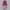 Purple, variant on OGLCCG Girls Two Pieces Swimsuit Long Sleeve Rash Guard Bathing Suit Cute Watermelon Print Beach Swimwear with Shorts for Kids 2-11Years