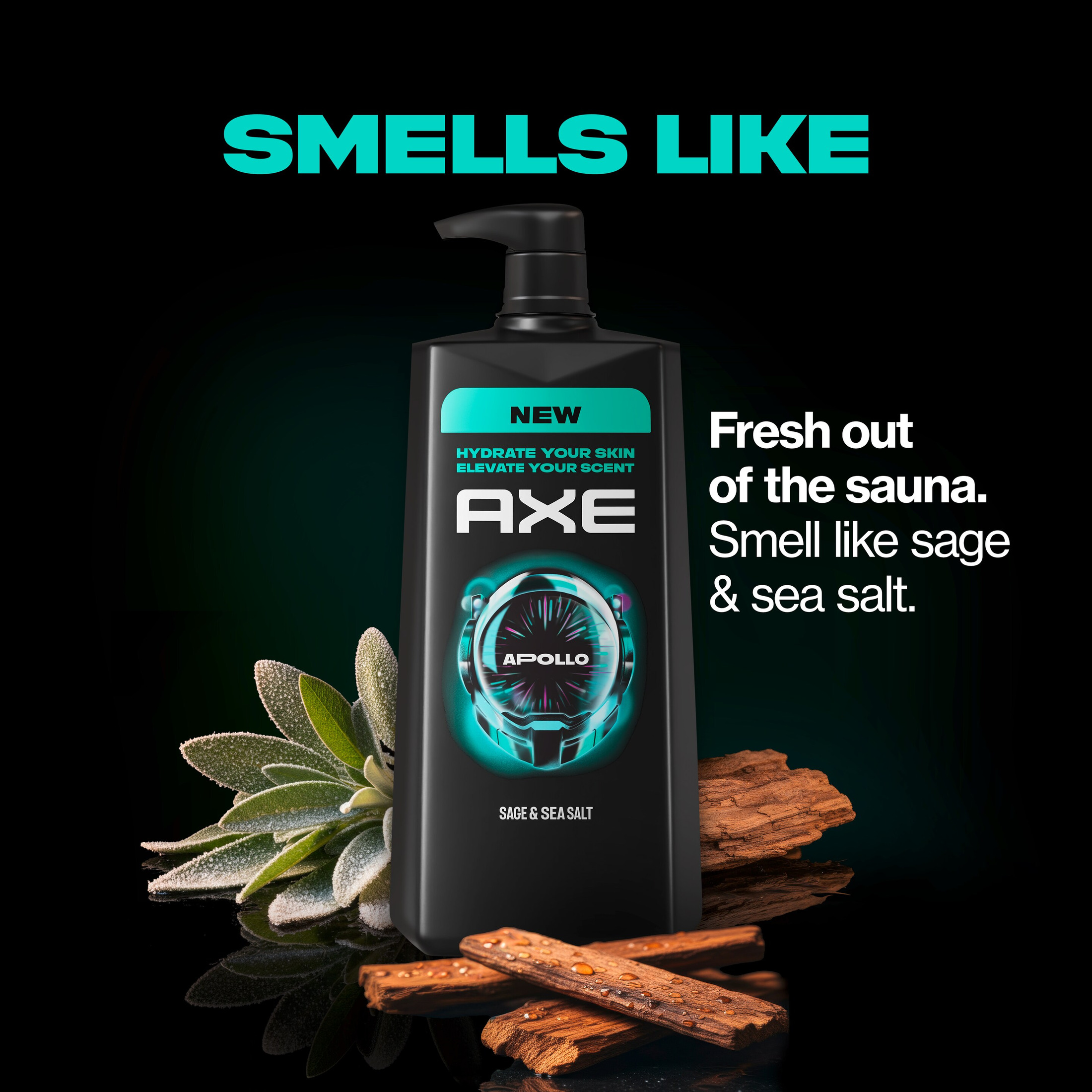 Axe Apollo Body Wash Sage & Cedarwood photo 3