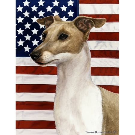 Italian Greyhound Fawn and White - Best of Breed  Patriotic II Garden