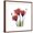 Brown Frame, variant on Art.com Ruby Gentian Stretched Canvas Print Wall Art by Albert Koetsier, 30" x 30"