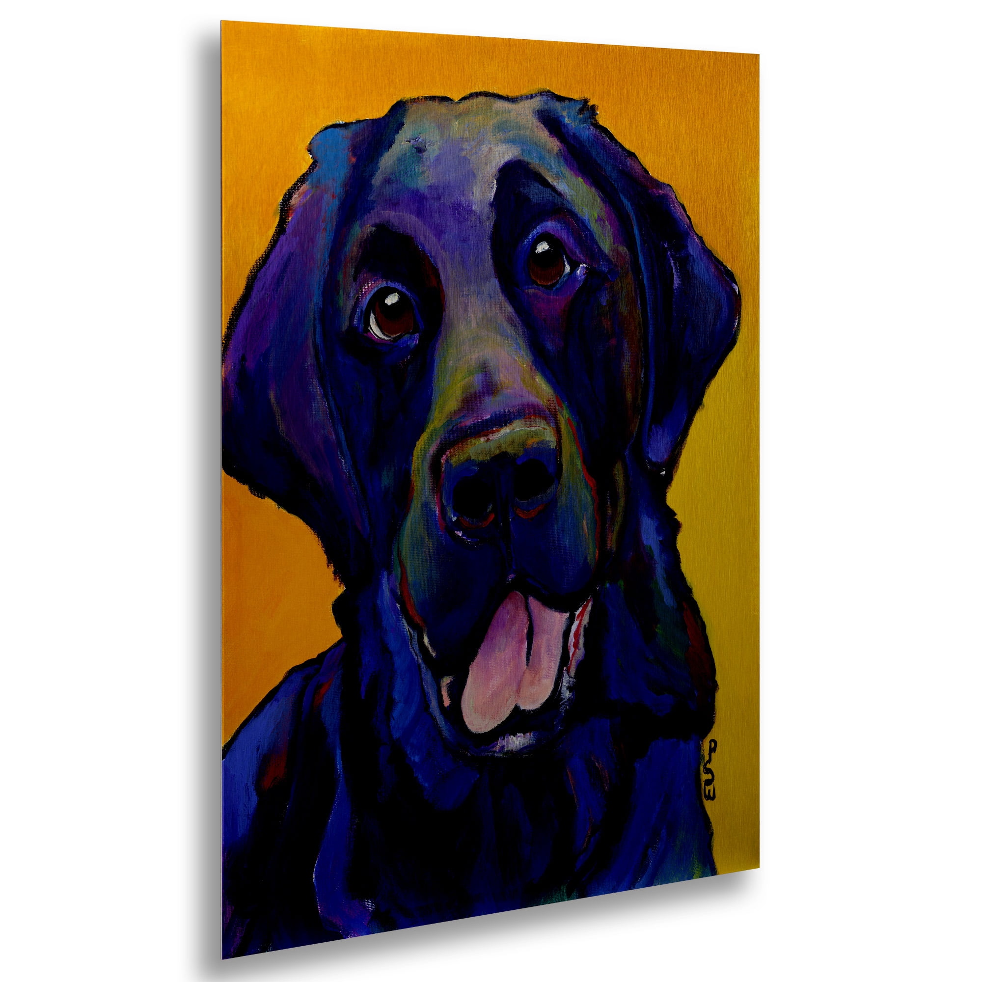 Trademark Fine Art 'Buddy' Brushed Aluminum Wall Art Art by Pat Saunders-White