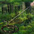 thumbnail image 4 of Acier Inoxydable Extensible Télescopique Serpent Reptile Capture Crochet Outil100cmreptile Outils de Sélection,, 4 of 7