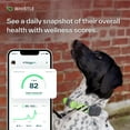 thumbnail image 4 of Whistle Go Explore Dog GPS Tracking Device and Pet Health Monitoring System, Grey | Fits Most Collars, 4 of 9