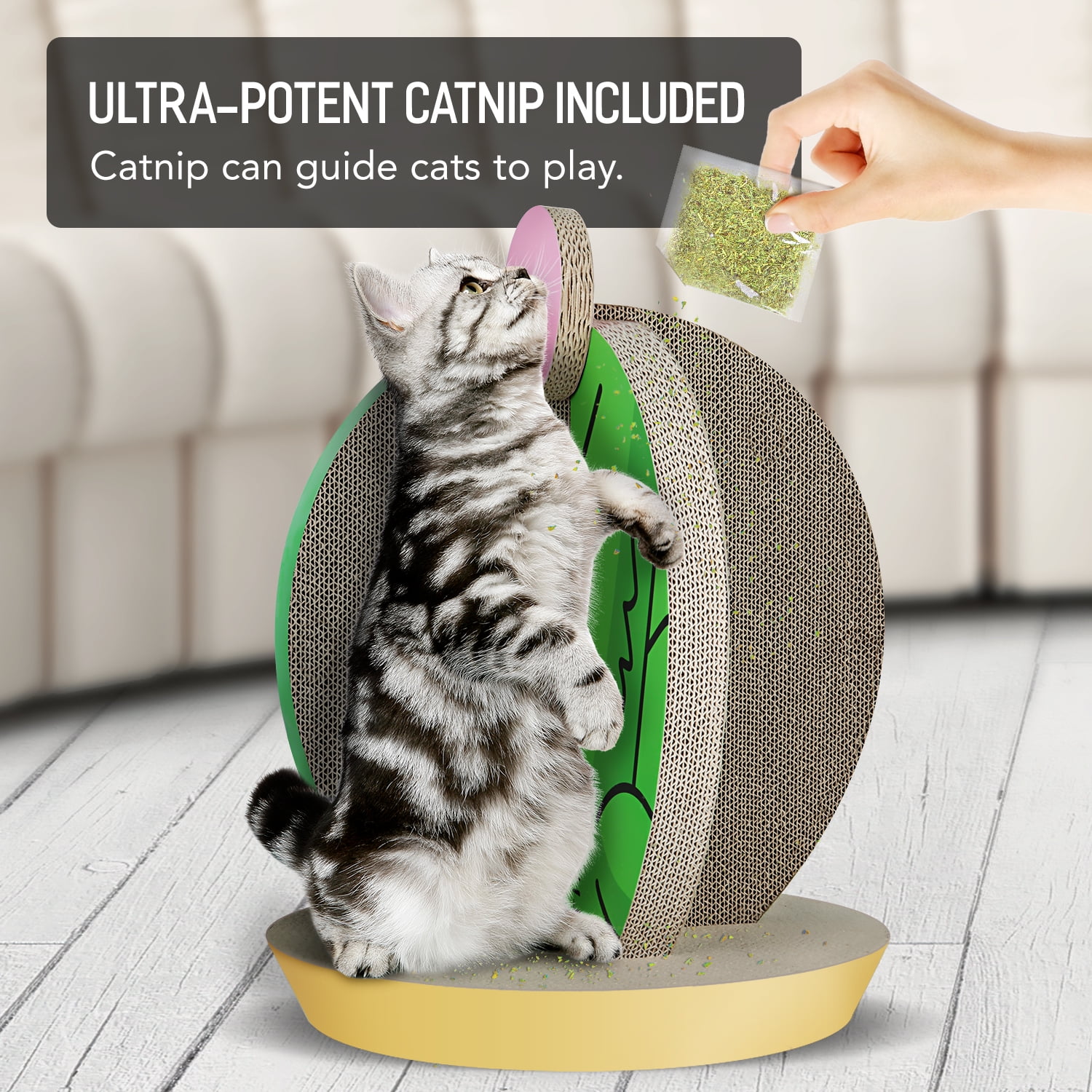Pefilos 19" Cat Scratching Post Cactus, Cat Bed Scratchers for Indoor Cats, Cat Shelter Scratcher Apartment for Kittens, Green Pefilos 19" Cat Scratching Post Cactus, Cat Bed Scratchers for Indoor Cats, Cat Shelter Scratcher Apartment for Kittens, Green
