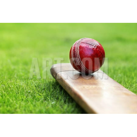 Cricket Ball Resting on a Cricket Bat on Green Grass of Cricket Pitch Print Wall Art By