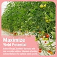 thumbnail image 3 of Cronk Nutrients Bud Booster - Best Budding Fertilizer for Maximum Blooms - Hydroponic Nutrients for The Bloom Phase - Balanced pH Formula - Suitable for Soil, Soilless, and Hydroponic Systems, 500mL, 3 of 9