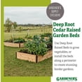 thumbnail image 2 of Gardener's Supply Company Raised Garden Bed | Outdoor Cedar Planter Box w/Extra Deep Height for Rooted Plants, Herbs Flowerbed & Vegetable Garden Wooden Planter Box | 3ft W x 6ft L x 14" H, 2 of 6