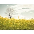 thumbnail image 3 of Aledanda 14x12 Black Modern Framed Museum Art Print Titled - Yellow Meadow, 3 of 5