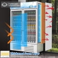 thumbnail image 2 of Commercial Merchandiser Refrigerator, 2 Glass Door Display Refrigerator, 25.3 Cu. Ft Upright Beverage Display Cooler with LED Light, Adjustable Shelves, 2 of 6