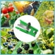 thumbnail image 5 of Juego de cuchillos de dedo para recolectar frutas y verduras | Kit de herramientas de jardinería multifuncional de 10 piezas para cosechar fresas, uvas y podar | Cuchillo de dedo de acero inoxidable, 5 of 5