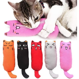REKOBON Catnip Toys, 8 Pack Kitten Toys for Indoor Cats, Bite Resistant Cat  Chew Toy with Sushi Roll, Boredom Relief Fluffy Kitty Teeth Cleaning