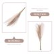 thumbnail image 3 of unbranded 6Ud Ramo Artificial De Pasto Pampas Beige Para Hogar Y Eventos Estilo Rústico, 3 of 7