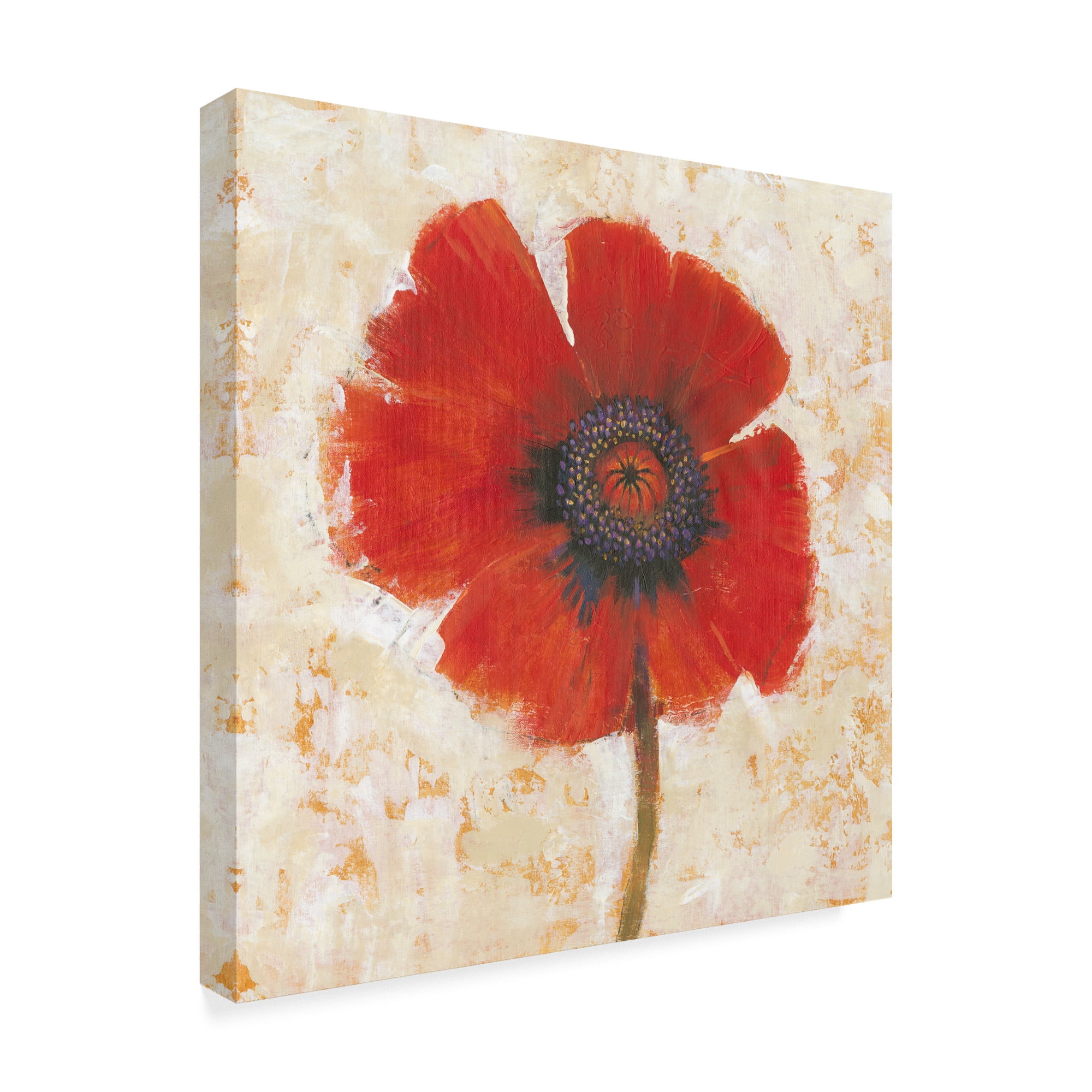 Trademark Fine Art 'Red Poppy Portrait I' Canvas Art by Tim OToole