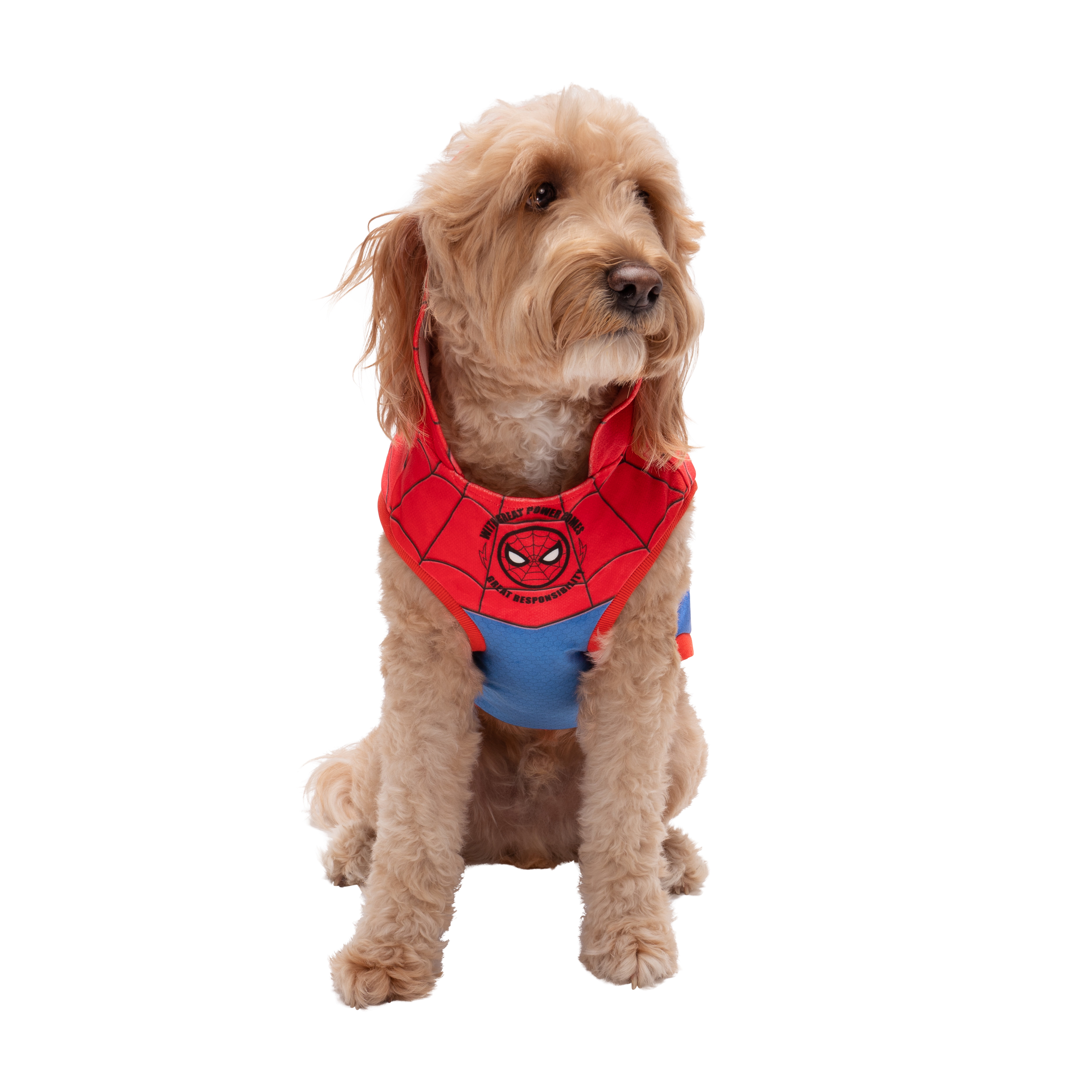MARVEL Spider-Man Pet Hoodie Halloween Costume - Sleeveless Hooded Pet Shirt with Costume Design (Large)