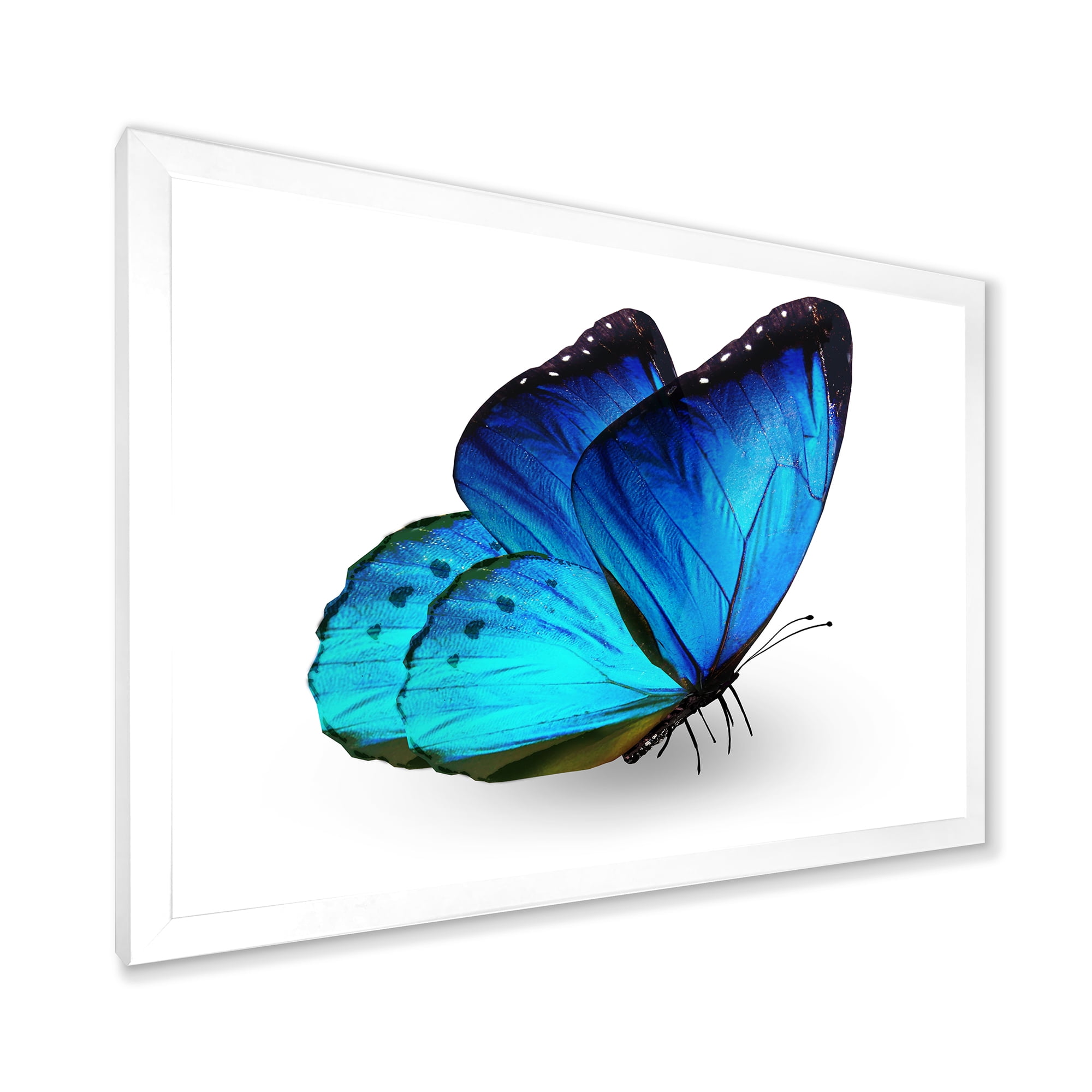 Designart 'Close Up Of Vibrant Blue Butterfly On White' Modern Framed Art Print