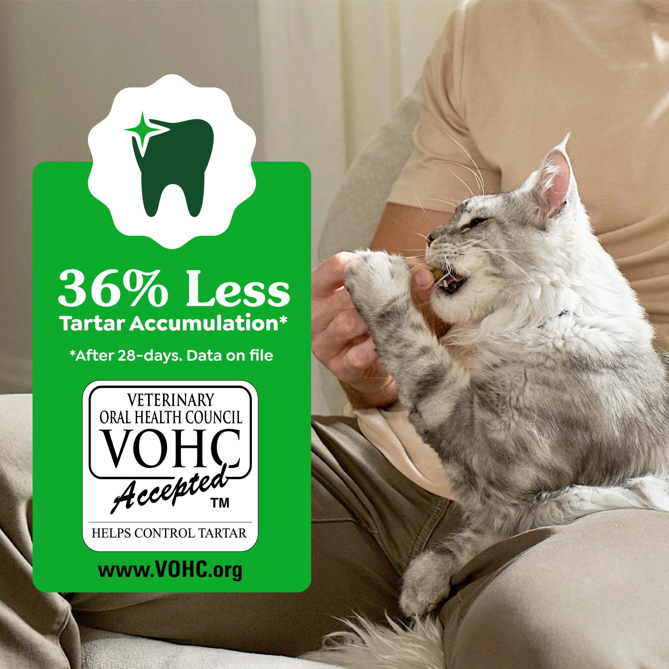 Greenies Feline Veterinarian-Recommended Dental Cat Treats, Oven Roasted Chicken,  21 oz. Tub