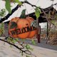 thumbnail image 2 of Letrero De Bienvenida Colgante Diseño De Calabaza Placa De Letrero Colgante De Madera Para Decoración De Fiesta De Acción De Gracias Eigraketly HA036483-00, 2 of 6