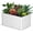White, variant on Galvanized Raised Garden Bed - Outdoor Rectangular Metal Planter for Vegetables, Flowers & Herbs (6x3x2 FT)