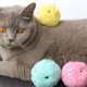 thumbnail image 3 of Black Paquete de 3 juguetes de peluche para gatos, bolas interactivas para chirriar, juguetes para patear gatitos, 3 of 5