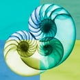 thumbnail image 2 of Koetsier, Albert 15x15 Gold Ornate Wood Framed with Double Matting Museum Art Print Titled - Blue Green Shell 2, 2 of 4