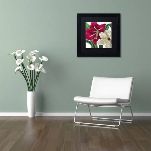 Trademark Fine Art "Christmas Amaryllis I" Canvas Art by Color Bakery Black Matte, Black Frame