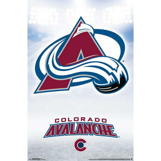 Avalanche Champion Go Avs 2022 Hockey Finals Shirt - Jolly Family