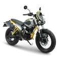 thumbnail image 1 of MOTOCICLETA TRAIL FLYGON 250 AMARILLO 2026, 1 of 5