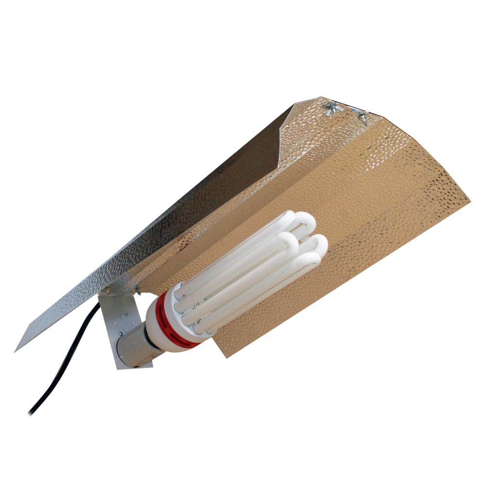 Apollo Horticulture 125 Watt CFL Compact Fluorescent Grow Light Bulb