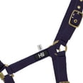 thumbnail image 3 of Hy Holly Fully Adjustable Head Collar, 3 of 4