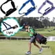 thumbnail image 5 of Soidarity Mini bolsa portátil para palos de Golf, estuche de transporte, bolsa de hombro con correa ajustable, equipo de golf, equipo deportivo, Ropa Deportiva, Zapatos Negro Soidarity OD026572-01, 5 of 6