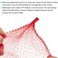 thumbnail image 5 of Watermelon Nets Hanging Melon Hammocks W Loop-Style Closures Reusable Fruit Net Bag for Garden, Red 27.56 Inch, 5 of 6