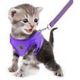 thumbnail image 1 of LAICAIW Dog Harness and Leash Set, No Pull Reflective Adjustable Pet Soft Mesh Chest Vest Harnesses Easy Control for Small Medium Dogs and Cats Outdoor Walking, 1 of 7