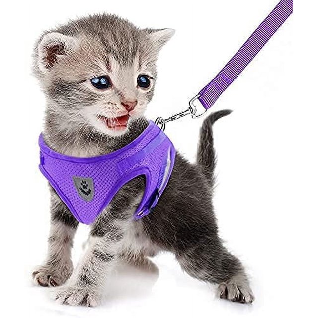 LAICAIW Dog Harness and Leash Set, No Pull Reflective Adjustable Pet Soft Mesh Chest Vest Harnesses Easy Control for Small Medium Dogs and Cats Outdoor Walking