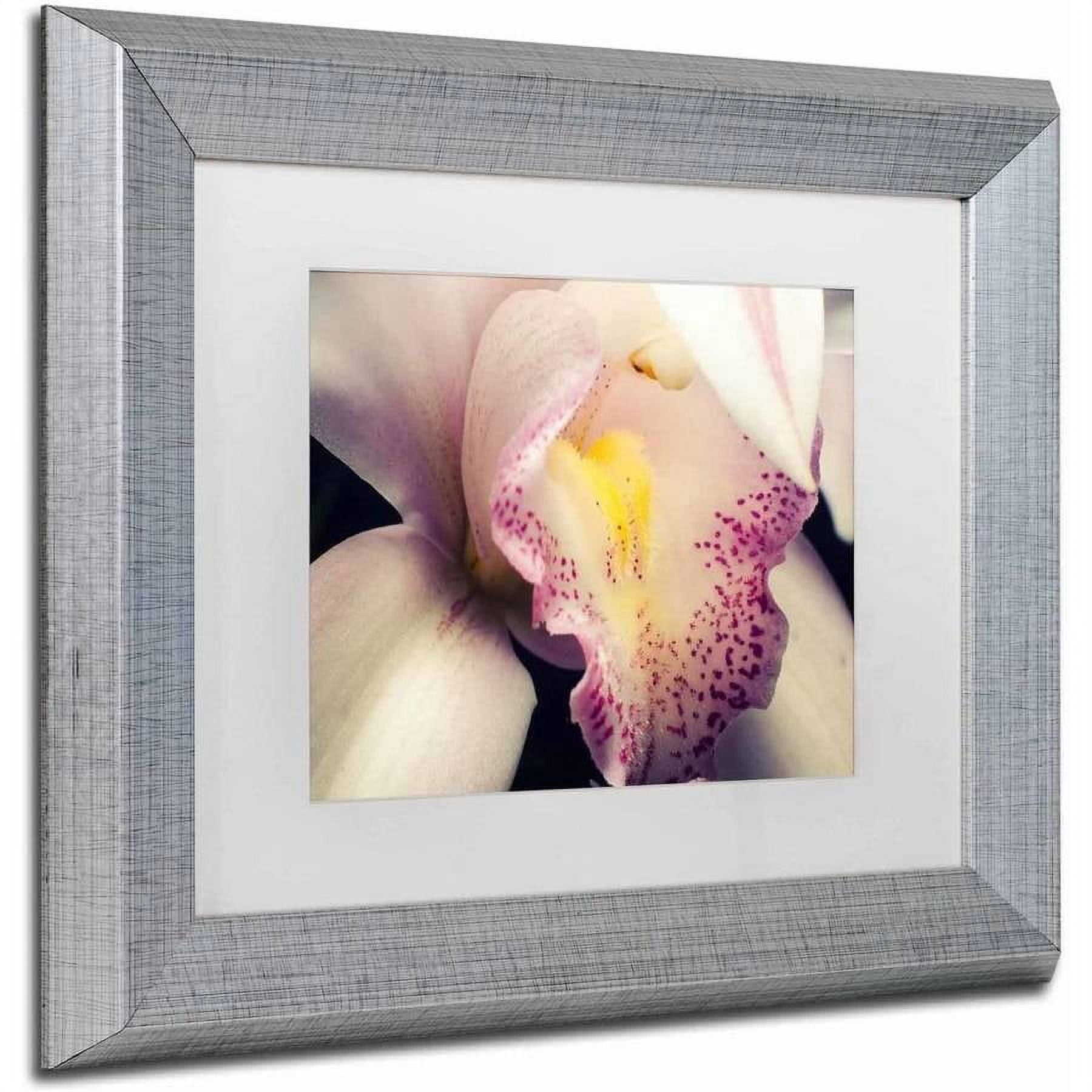 Trademark Fine Art 'Close-Up of Orchid' Canvas Art by PIPA Fine Art, White Matte, Silver Frame