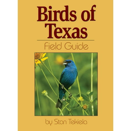 Bird Identification Guides: Birds of Texas Field Guide (Paperback ...