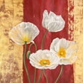 thumbnail image 3 of Jenny, Thomlinson 20x20 Black Modern Framed Museum Art Print Titled - Royal Red II, 3 of 5