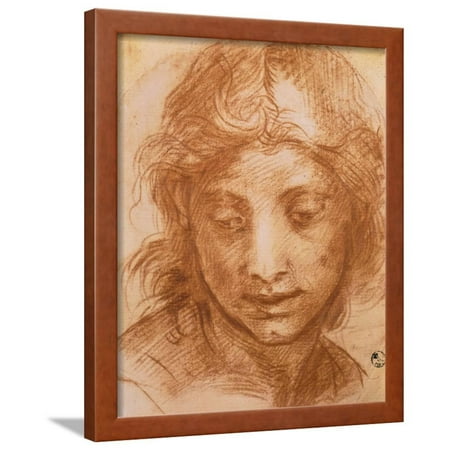 Uffizi Gallery - Head of a Young Woman, Drawing by Andrea Del Sarto, Uffizi Gallery, Florence Framed Print Wall Art By Andrea del Sarto