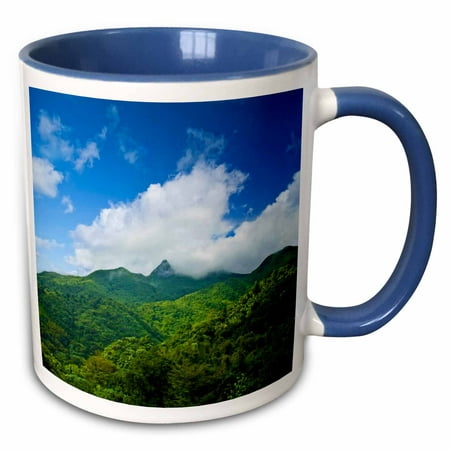 3dRose Puerto Rico, El Yunque National Forest, Rainforest - CA27 MGL0043 - Miva Stock - Two Tone Blue Mug, (Best Rainforest In Puerto Rico)