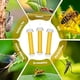 thumbnail image 2 of Fly Stick Sticky Fly Trampas para Interiores y Exteriores Paquete de 15Pcs Trampas para Todas las Moscas. Trampas Adhesivas para Moscas para Atrapamoscas al Aire Libre, 2 of 7