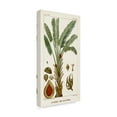 thumbnail image 2 of Trademark Fine Art 'Turpin Exotic Palms VI' Canvas Art by Turpin, 2 of 4