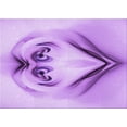 thumbnail image 1 of Ahgly Company Indoor Rectangle Patterned Tyrian Purple Area Rugs, 2' x 4', 1 of 6