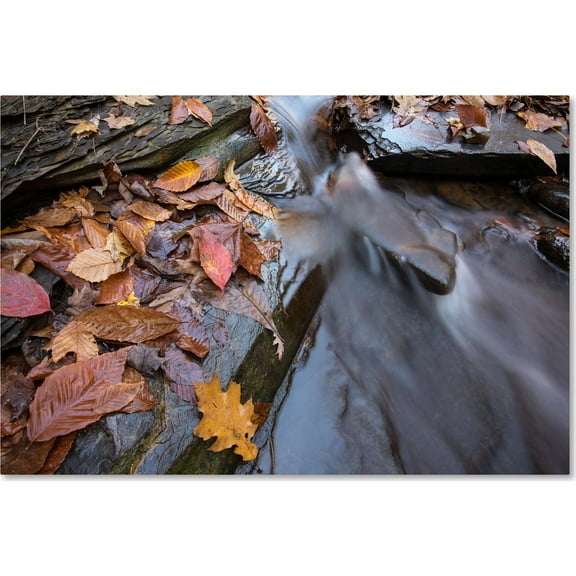 Trademark Fine Art "Chance Creek 1" Canvas Art by Jason Shaffer