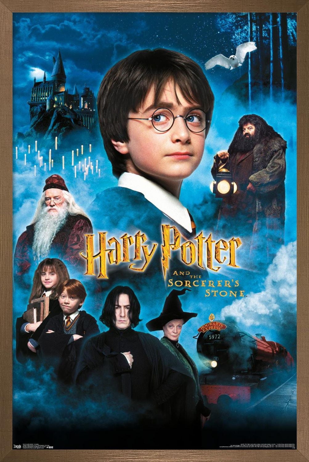 Harry Potter and the Sorcerer's Stone - Candles One Sheet Wall Poster, 22.375" x 34"