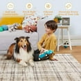 thumbnail image 4 of AOILE Washable Plaid Area Rug – Ultra-Soft Modern Farmhouse Runner, Non-Slip Throw Rug for Hallway, Entryway, Bedroom, Kitchen, Laundry, and Living Room, 4 of 6