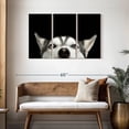 thumbnail image 3 of Elephant Stock Peeking Siberian Husky Wall Art - Horizontal Multi Panel Canvas - Dining Room Wall Decor - Animal Multi Panel - Black And White Decor - 45" x 28", 3 of 8
