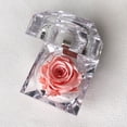 thumbnail image 1 of Mini rosa preservada Mina’an-flor eterna en cajita de regalo color Pink Néctar, 1 of 3