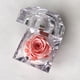 thumbnail image 1 of Mini rosa preservada Mina’an-flor eterna en cajita de regalo color Pink Néctar, 1 of 3