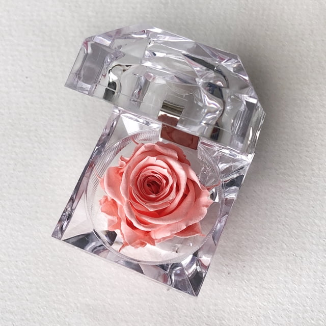 Mini rosa preservada Mina’an-flor eterna en cajita de regalo color Pink Néctar