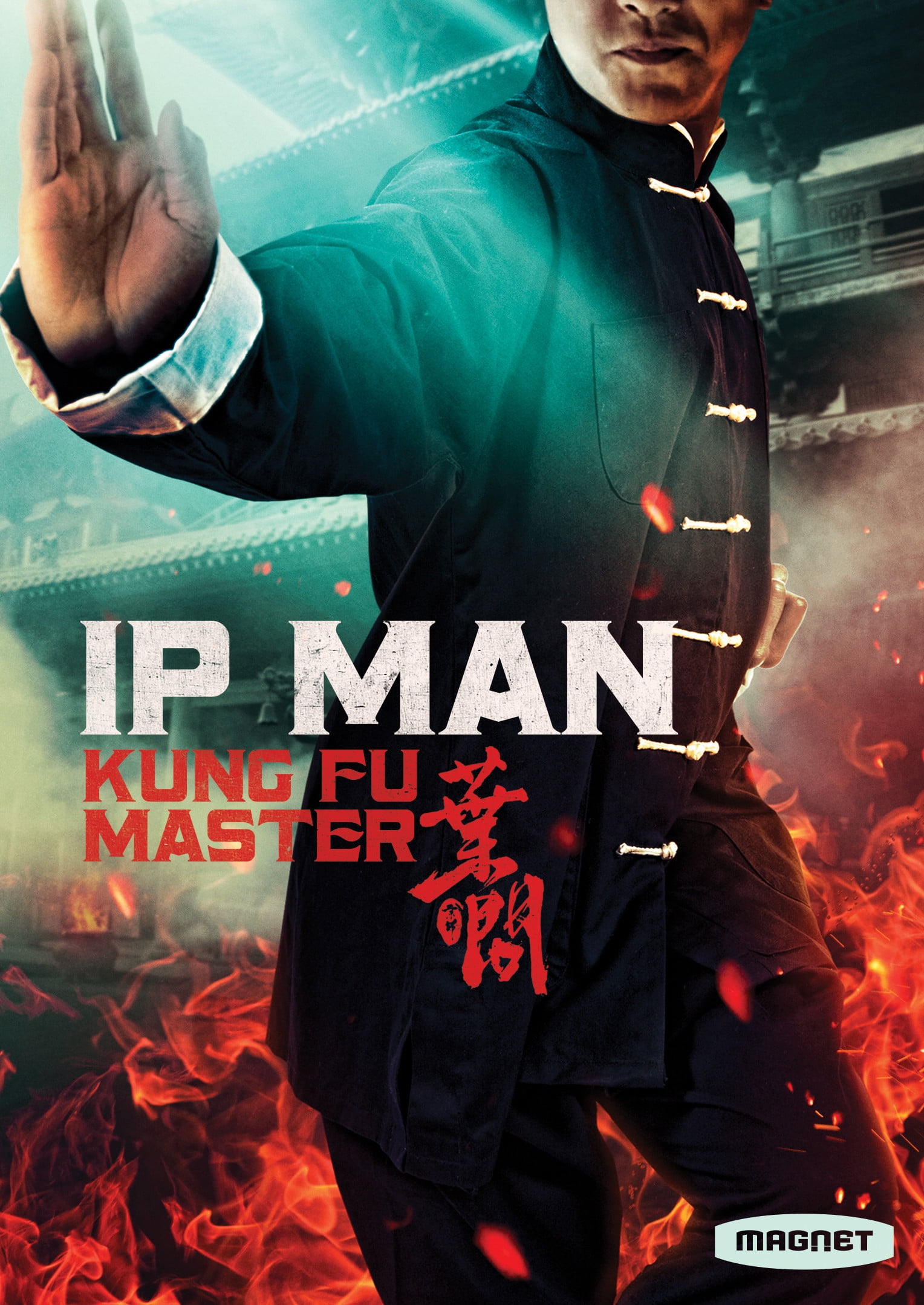 Ip Man: Kung Fu Master Action-packed Martial Arts Nigeria Ubuy - Main Image