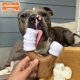 thumbnail image 3 of Juguete masticable para perros Nylabone Strong Chew Malwmallow Stick Queso, 3 of 9